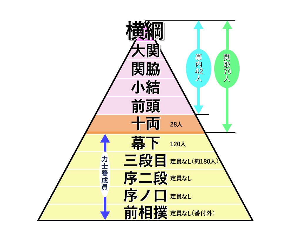 相撲階級のピラミッド図形