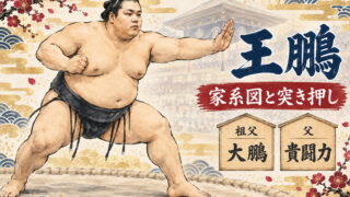 王鵬が突き押しで前へ出るイラスト。祖父・大鵬と父・貴闘力の札